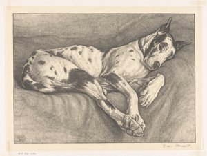 sovende hund av Bertha van Hasselt (signed by artist)