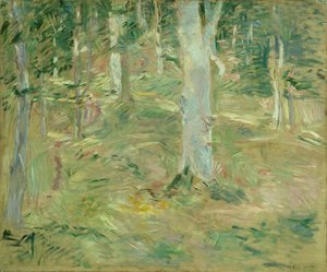 Forest of Compiègne
