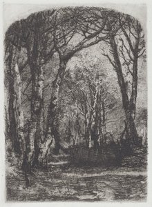 Woods [Bosco], ca. 1895. av Bianchi Mose