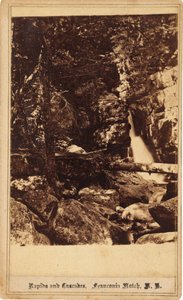 Rapids and Cascades, Franconia Notch, New Hampshire av Bierstadt Brothers