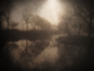  av Bill Eiffert