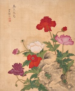  av Bing Yun