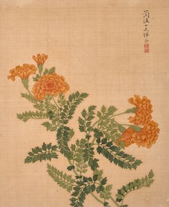  av Bing Yun