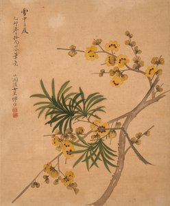  av Bing Yun