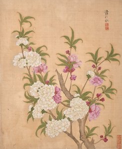  av Bing Yun