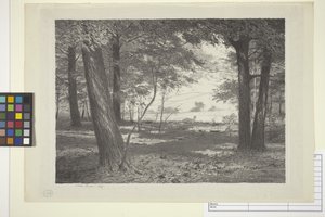 Edge Of The Woods (blekk på papir)