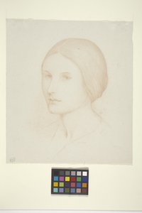 Eleanor (blekk på papir)