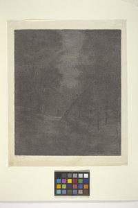 Moonlight Woods (blekk på papir) av Bolton Coit Brown