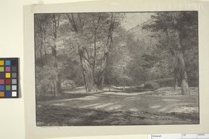 Sierra Woods (blekk på papir)