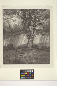 Storm (blekk på papir)