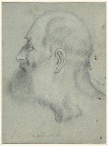Hodet til skjeggete mannen, i profil til venstre av Bonifazio Veronese (attributed to)