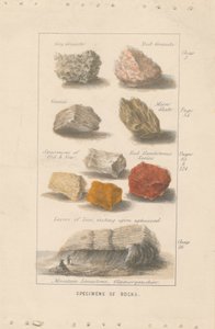Eksemplarer av bergarter. Bevis på en illustrasjon for Wrights 'Globe Prepared for Man'.