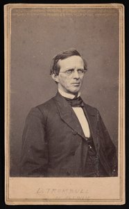 Portrett av Lyman Trumbull 1813-1896, mellom 1864 og 1868. av Brady