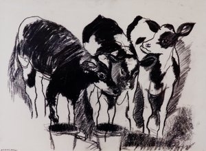The New Calves (kull på papir) av Brenda Brin Booker