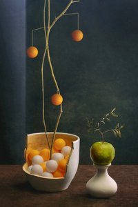 Elegant fruktstilleben av Brig Barkow