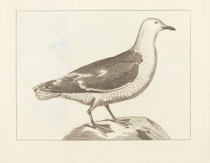 Vannfugl av British 19th Century