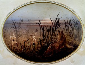 Tigerjakt ledet av det britiske militæret, Storbritannia av British School