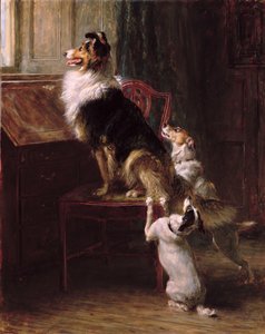 Et reservert sete, 1901