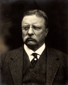 Theodore Roosevelt, ca. 1915 (s/hvitt-bilde) av Brothers Pach