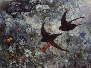 (Vanlig) Swift