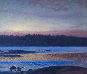  av Bruno Andreas Liljefors