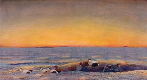 Soloppgang, 1896 av Bruno Andreas Liljefors