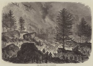 Stor brann i Fontainebleau-skogen