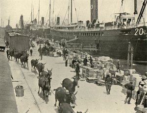 Troppeskip ved Port Tampa, Florida, USA, spansk-amerikansk krig, 10. juni 1898, 1899.
