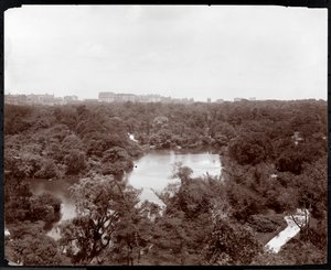 Utsikt over Central Park fra Plaza Hotel, 5th Avenue og 59th Street, New York, 1907 (sølv gelatintrykk) av Byron Company