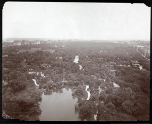 Utsikt over Central Park fra Plaza Hotel, 5th Avenue og 59th Street, New York, ca. 1907 (sølv gelatintrykk) av Byron Company