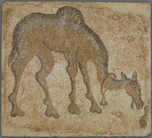 Mosaikkfragment med beitende kamel av Byzantine
