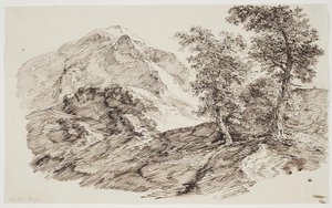Fjelllandskap med trær av C.F. von Rumohr