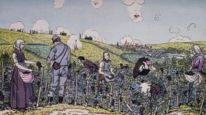 Våre vinbønder høstet under ild, innhøstingen i Champagne-regionen i 1914, første verdenskrig, Frankrike, 1900-tallet av J.B. and Brown J. Rowbotham