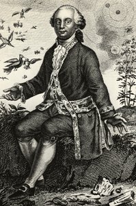 Portrett av Georges-Louis Leclerc de Buffon (1707-1788), fransk naturforsker og matematiker, gravering av J.B. and Brown J. Rowbotham