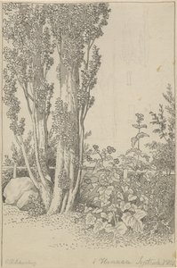 Popler og ville vekster ved Hanau av Christoffer Wilhelm Eckersberg