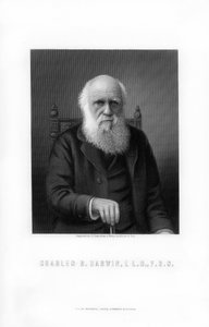 Charles Darwin , britisk naturforsker, 1899.