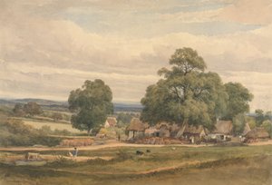 Emerey Down nær Lyndhurst, New Forest, Hants av C. John M. Whichelo