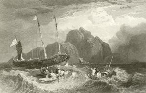 Tigerøya