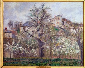 Vår, plommeblomstrer i Pontoise - olje på lerret av Camille Jacob Pissarro