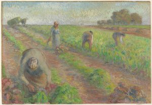 Beet Harvest, 1881 (gouache over grafitt på lin) av Camille Jacob Pissarro