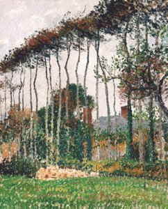Fransk: Les grands hêtres à Varengeville Tysk: De store bøkene i Varengeville av Camille Pissarro