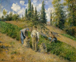 The Harvest, Pontoise The Harvest, Pontoise, 1881. av Camille Jacob Pissarro