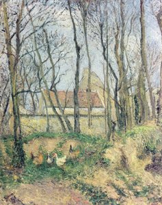 Ukjent bilde av Camille Jacob Pissarro
