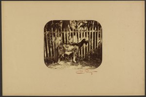  av Camille Silvy
