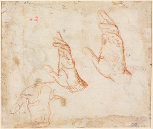 Studie av hender (verso) av Camillo Procaccini