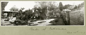 Getsemane hage, 14. desember 1917 av Capt. Arthur Rhodes