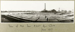 Utsikt over Nilen fra N.Z.M.F.A. Hovedkvarter, Kairo, juni 1917 av Capt. Arthur Rhodes