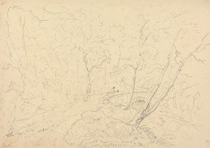 Holne Chase Bridge and River, 30. mai 1833 av Capt. Thomas Hastings