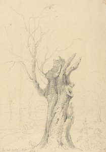 I Lord Yarborough's Park, Appuldurcombe, Isle of Wight av Capt. Thomas Hastings