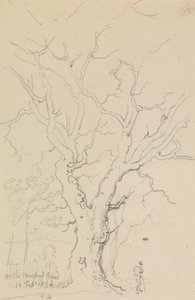 På Newport Road, 12. februar 1826 av Capt. Thomas Hastings